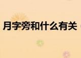月字旁和什么有关（月字旁和哪些东西有关）