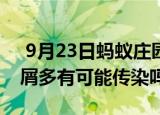  9月23日蚂蚁庄园小鸡宝宝问题 头皮痒头皮屑多有可能传染吗