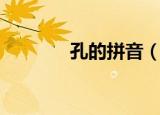 孔的拼音（孔的拼音如何写）