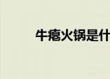 牛瘪火锅是什么（牛瘪火锅是啥）