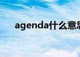 agenda什么意思（agenda中文意思）