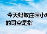  今天蚂蚁庄园小鸡考你问答 成语司空见惯中的司空是指