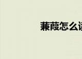 蒹葭怎么读（蒹葭的出处）