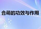 合萌的功效与作用（合萌的功效与作用分享）