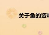 关于鱼的资料（鱼的资料简述）