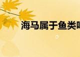海马属于鱼类吗（给大家介绍一下）