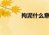 拘泥什么意思（拘泥的意思）