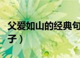 父爱如山的经典句子（父爱如山的经典唯美句子）
