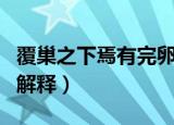 覆巢之下焉有完卵啥意思（覆巢之下焉有完卵解释）