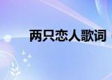 两只恋人歌词（歌曲两只恋人歌词）