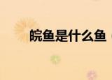 皖鱼是什么鱼（皖鱼具体是什么鱼）