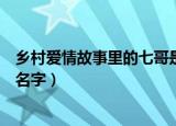 乡村爱情故事里的七哥是谁（乡村爱情故事里的七哥叫什么名字）