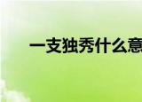 一支独秀什么意思（一支独秀的意思）