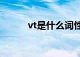 vt是什么词性（与v有什么区别）