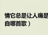 情它总是让人痛是什么歌（情它总是让人痛出自哪首歌）