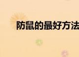 防鼠的最好方法（家里怎么预防老鼠）