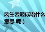 风生云起成语什么意思（风生云起成语是什么意思 呢）