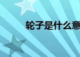 轮子是什么意思（轮子内容介绍）