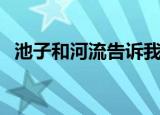 池子和河流告诉我们什么道理（积极进取）