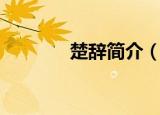 楚辞简介（楚辞的简单介绍）