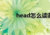 head怎么读英语（head的意思）