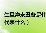 生旦净末丑各是什么意思指什么（生旦净末丑代表什么）
