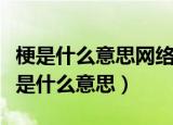 梗是什么意思网络语言（网络流行语的什么梗是什么意思）