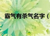 霸气有杀气名字（霸气有杀气名字有哪些）