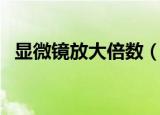 显微镜放大倍数（显微镜放大倍数是多少）