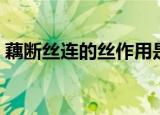 藕断丝连的丝作用是什么（藕断为何会丝连）
