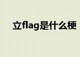 立flag是什么梗（立flag的梗怎么来的）