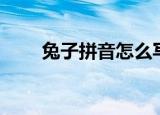 兔子拼音怎么写（兔子是什么拼音）
