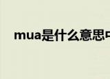 mua是什么意思中文（mua的中文解释）