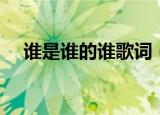 谁是谁的谁歌词（谁是谁的谁整首歌词）