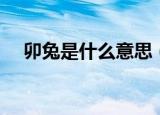 卯兔是什么意思（卯兔具体是什么意思）
