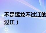 不是猛龙不过江的意思（怎么理解不是猛龙不过江）