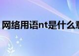 网络用语nt是什么意思（nt是什么英文缩写）