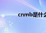 cnmb是什么意思（你知道吗）