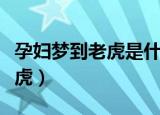 孕妇梦到老虎是什么意思（为什么孕妇梦到老虎）