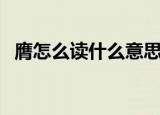 膺怎么读什么意思（关于膺的读音和意思）