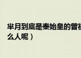芈月到底是秦始皇的曾祖母还是高祖母（芈月是秦始皇的什么人呢）