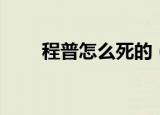 程普怎么死的（大家可以了解一下）