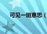 可见一斑意思（可见一斑是什么意思）