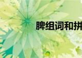 脾组词和拼音（汉字脾组词）