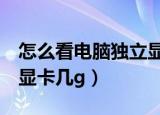 怎么看电脑独立显卡几g（如何知道电脑独立显卡几g）