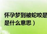 怀孕梦到被蛇咬是什么意思（孕妇梦见被蛇咬是什么意思）