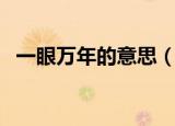 一眼万年的意思（词语一眼万年什么意思）