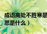 成语高处不胜寒是什么意思（高处不胜寒的意思是什么）