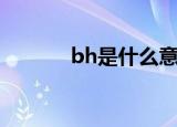 bh是什么意思啊（bh的意思）