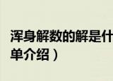 浑身解数的解是什么意思（浑身解数的意思简单介绍）